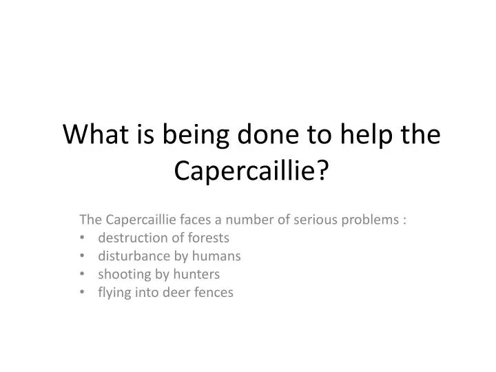 what is being done to help the capercaillie