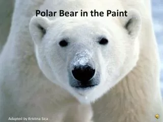 Polar Bear in the Paint