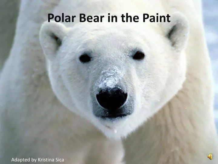 polar bear in the paint