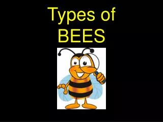Types of BEES