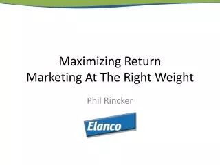 Maximizing Return Marketing At The Right Weight