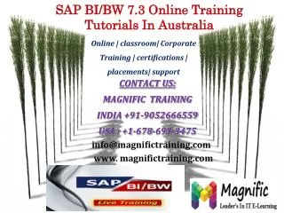 SAP BI/BW 7.3 Online Training Tutorials In Australia