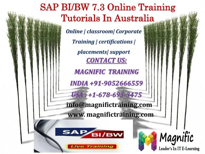 sap bi bw 7 3 online training tutorials in australia