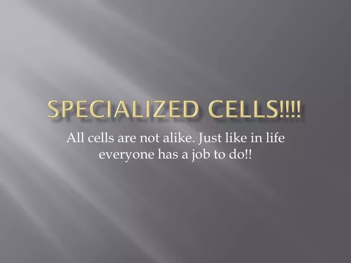 specialized cells