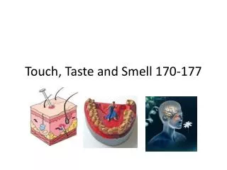Touch, Taste and Smell 170-177