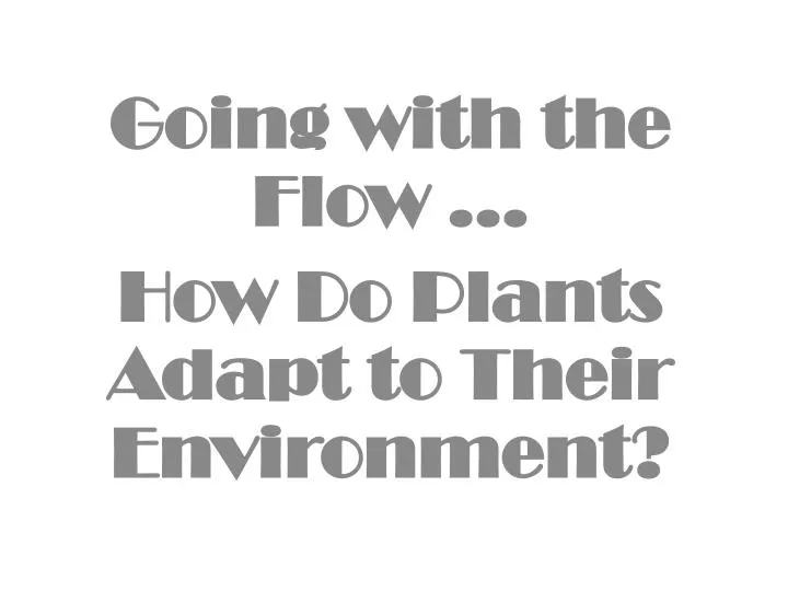 going with the flow how do plants adapt to their environment