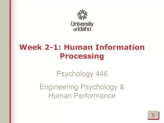 week 2 1 human information processing