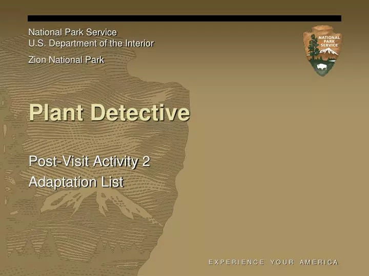 plant detective