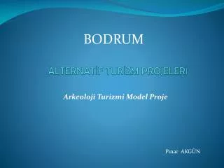 alternat f tur zm projeler