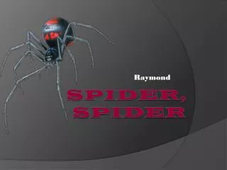 Spider, Spider
