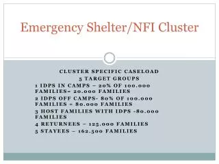 Emergency Shelter/NFI Cluster
