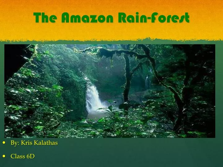 the amazon rain forest