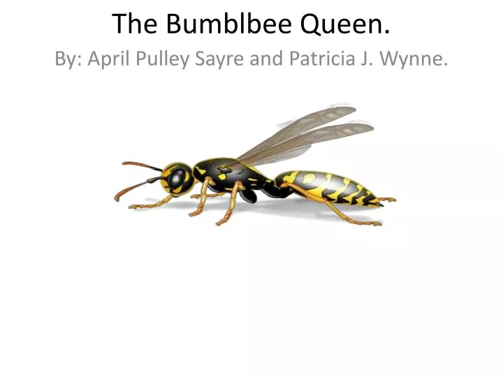 the bumblbee queen
