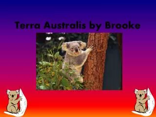 Terra Australis by Brooke