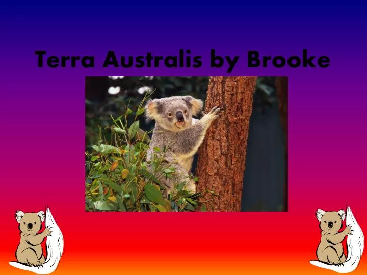 terra australis by brooke
