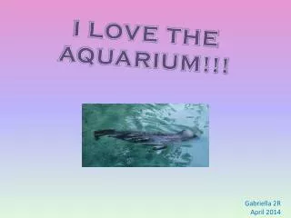 I LOVE THE AQUARIUM!!!