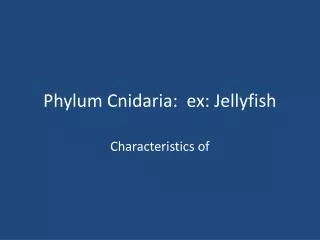 Phylum Cnidaria : ex: Jellyfish