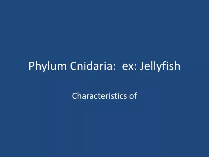 phylum cnidaria ex jellyfish