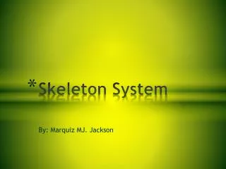 Skeleton System
