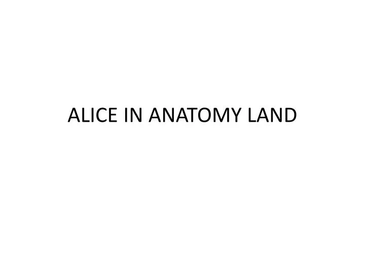 alice in anatomy land