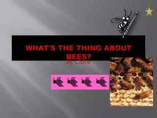 What's the thing about Bees?