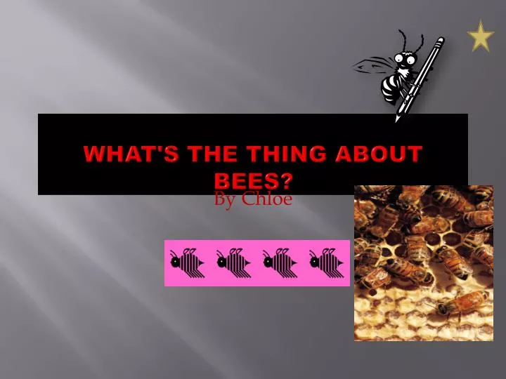 what s the thing about bees