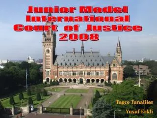 Junior Model International Court of Justice 2008