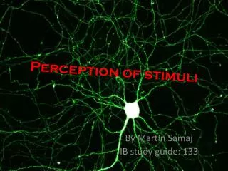 Perception of stimuli
