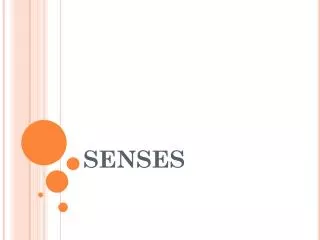 senses