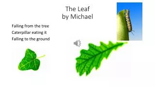 The Leaf by Michael