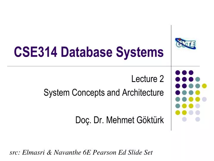 cse314 database systems