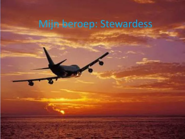 mijn beroep stewardess