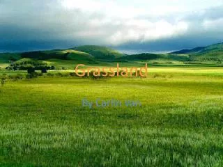 Grassland