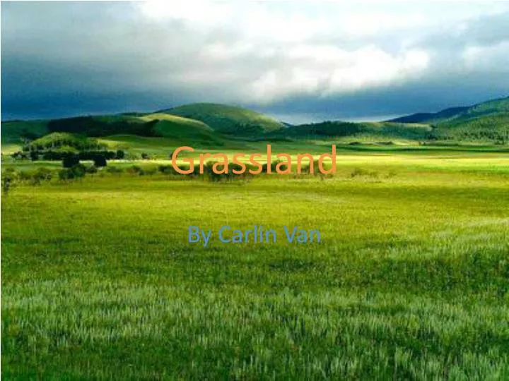 grassland