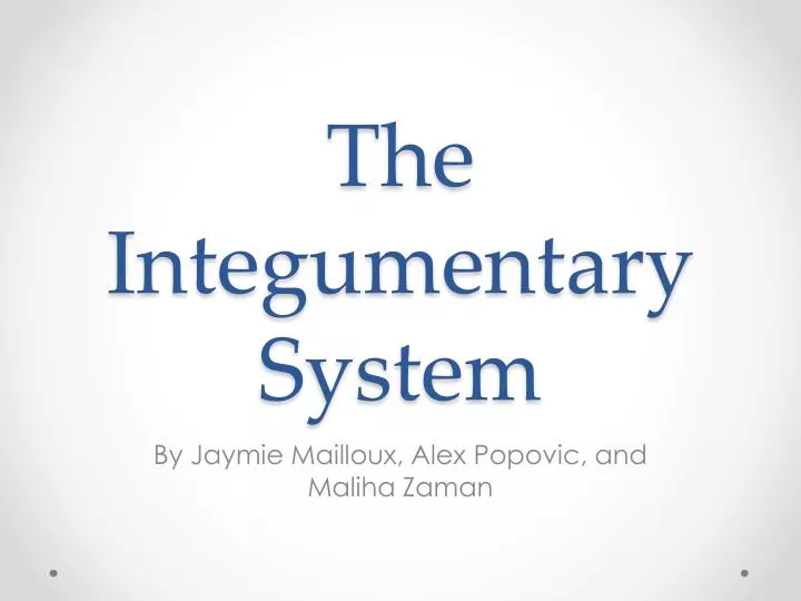 the integumentary system