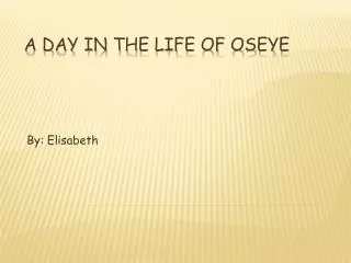 A Day in the Life of Oseye