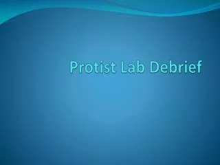 protist lab debrief