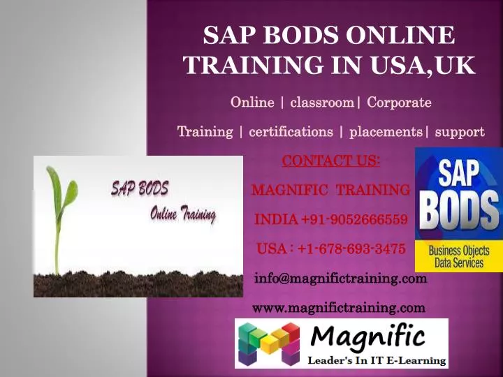 sap bods online training in usa uk