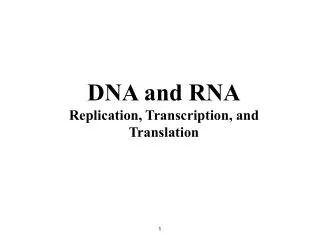 DNA and RNA Replication, Transcription, and Translation