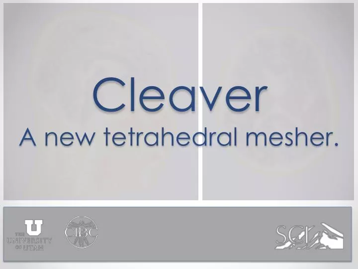 cleaver a new tetrahedral mesher
