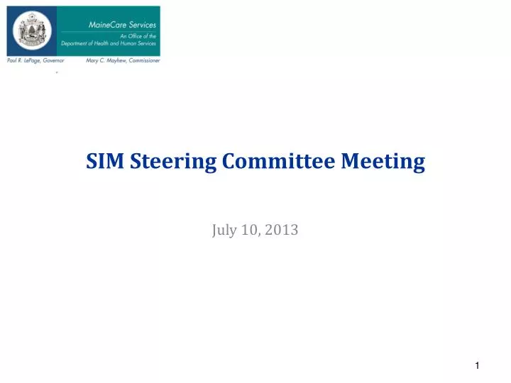 sim steering committee meeting