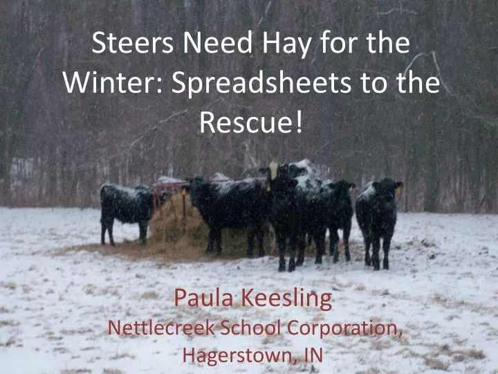steers need hay for the winter spreadsheets to the rescue