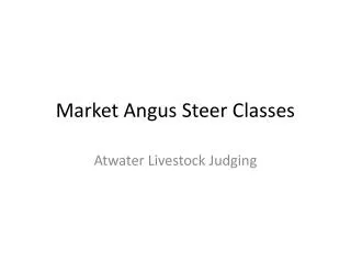 Market Angus Steer Classes