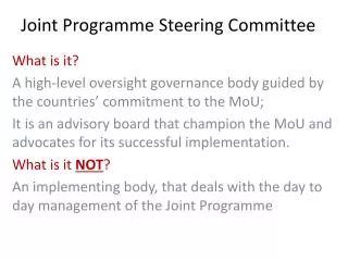 Joint Programme Steering Committee