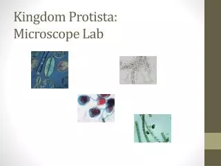 Kingdom Protista: Microscope Lab