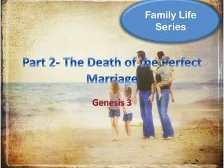 Part 2- The Death of the Perfect Marriage