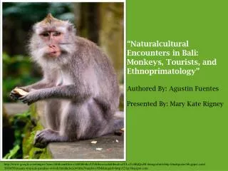 “Naturalcultural Encounters in Bali: Monkeys, Tourists, and Ethnoprimatology”