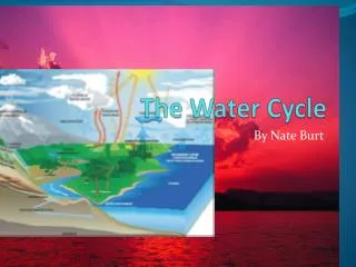 The Water Cycle