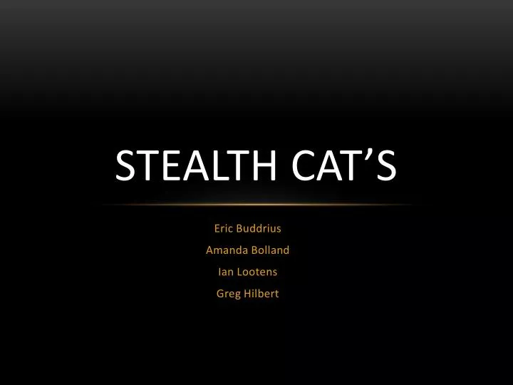 stealth cat s