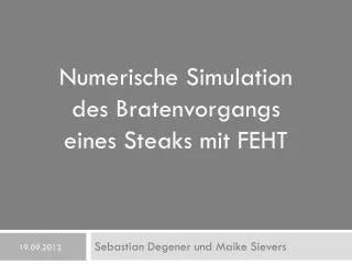 numerische simulation des bratenvorgangs eines steaks mit feht